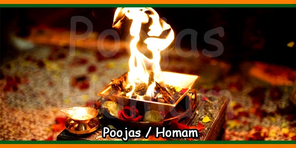 Pujas and homam